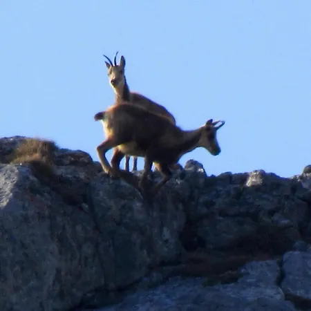 San Glorio Gospodarstwo wiejskie