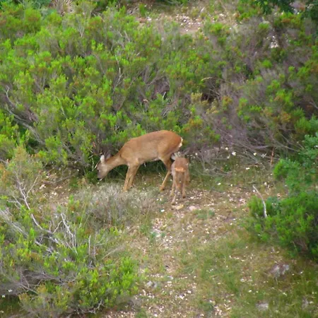 San Glorio Gospodarstwo wiejskie Llánaves de la Reina