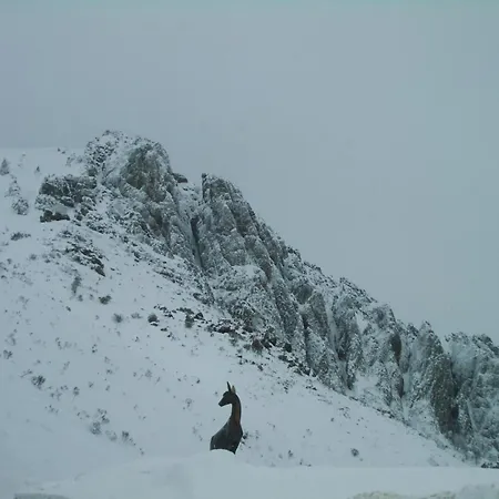 San Glorio Gospodarstwo wiejskie Llánaves de la Reina