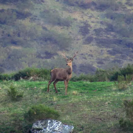 Gospodarstwo wiejskie San Glorio Llánaves de la Reina
