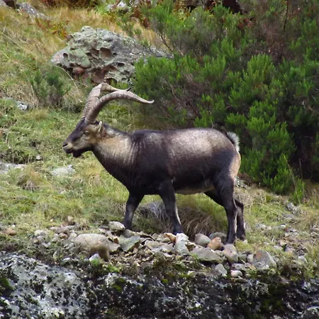 Gospodarstwo wiejskie San Glorio