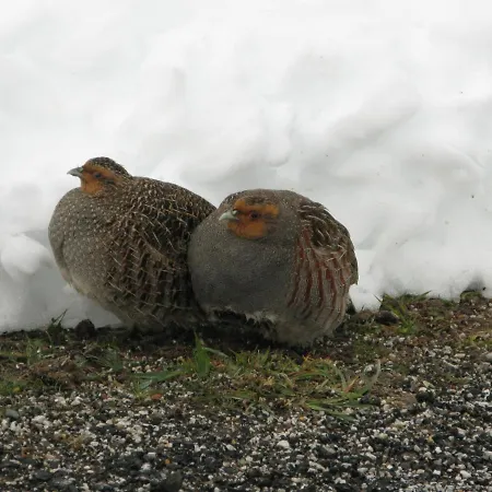 San Glorio Gospodarstwo wiejskie Llánaves de la Reina