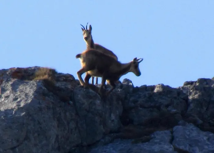 San Glorio カントリーハウス