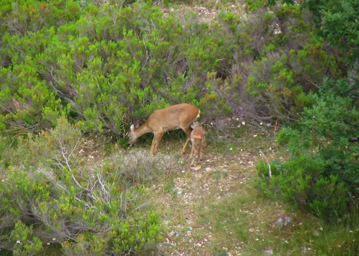 San Glorio Landhaus Llánaves de la Reina