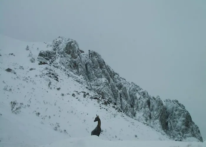 San Glorio カントリーハウス リャナベス・デ・ラ・レイナ