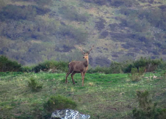 カントリーハウス San Glorio リャナベス・デ・ラ・レイナ