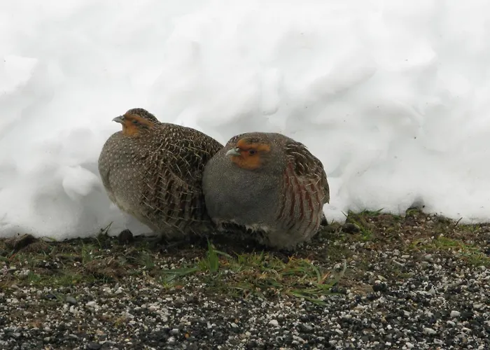 San Glorio カントリーハウス リャナベス・デ・ラ・レイナ